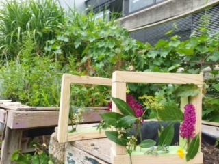 Mit Materialien aus dem Garten gestaltete Holzrahmen